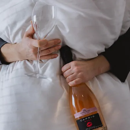 Capris Boutique Otel Koper